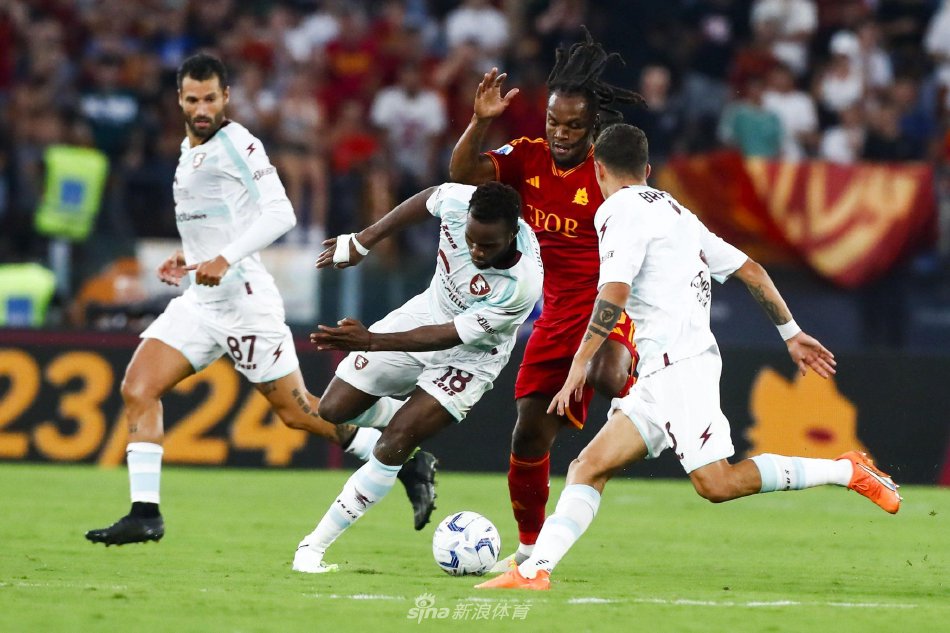 花的表现 花的表现